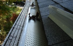  Profile Photos of Mississauga Roofing 3029 Clayhill Rd #20081 - Photo 4 of 5