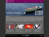 Portfolio 2, Halwits - Halwasiya IT Solutions, Lucknow