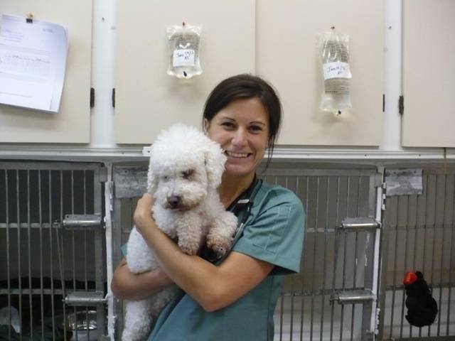  Pricelists of McLean Animal Hospital 1659 Victoria Park Avenue - Photo 1 of 4