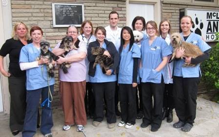  Pricelists of McLean Animal Hospital 1659 Victoria Park Avenue - Photo 4 of 4