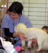 Menus & Prices, McLean Animal Hospital, Scarborough