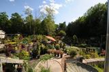 Atlantic Gardening Company, Raleigh
