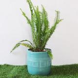  Home Decor Online - Zufolo Designs 42-DDA Local Shopping Centre E-Block,  Vikas Puri,  NEW DELHI - 110018 (INDIA) 