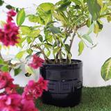  Home Decor Online - Zufolo Designs 42-DDA Local Shopping Centre E-Block,  Vikas Puri,  NEW DELHI - 110018 (INDIA) 