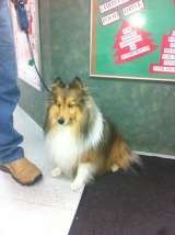 Menus & Prices, Clappison Animal Hospital, Waterdown