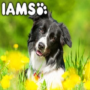  Profile Photos of Swell Pets Unit C SK14 Industrial Park, Broadway - Photo 1 of 4