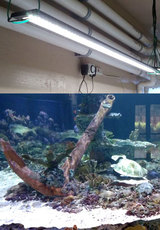 Pure LED Lighting Inc, Placentia