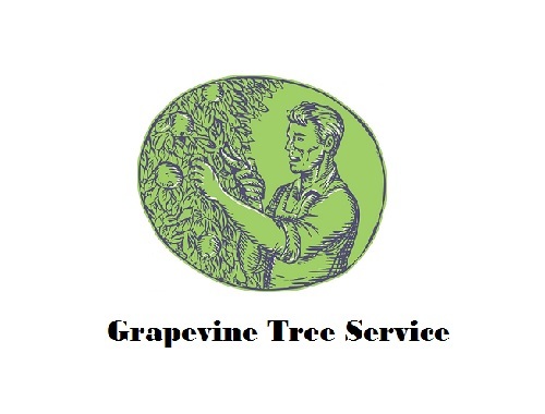 Grapevine Tree Service Profile Photos of Grapevine Tree Service 1701 W Northwest Hwy - Photo 1 of 1