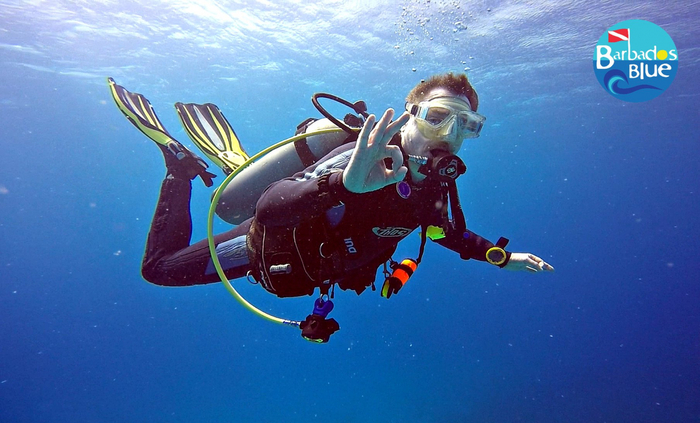  Profile Photos of Barbados Blue Water Sports Hilton Hotel, Needham's Point - Photo 5 of 12