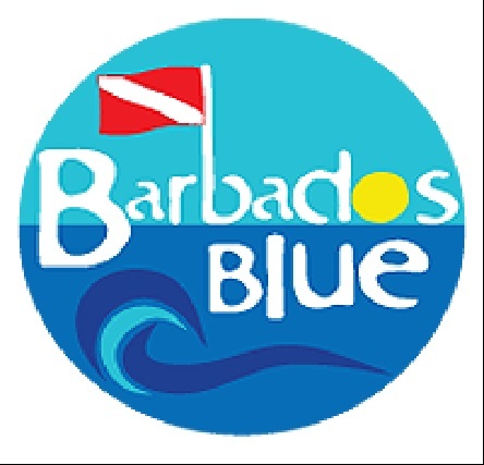  Profile Photos of Barbados Blue Water Sports Hilton Hotel, Needham's Point - Photo 1 of 12