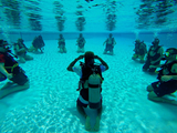  Barbados Blue Water Sports Hilton Hotel, Needham's Point 