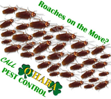 O'Hara Pest Control Inc., West Palm Beach