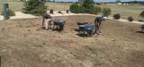 Turf Pros Solution Phoenix, Phoenix