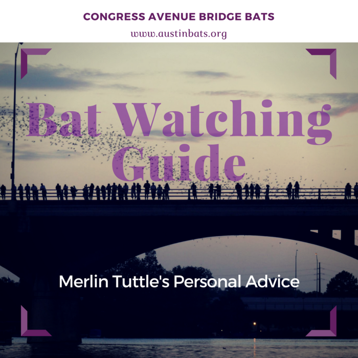  Profile Photos of Austin Bats - Congress Avenue Bridge Bats Watching Guide A1 - Photo 1 of 1