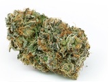 Native Roots Dispensary Austin Bluffs, Colorado Springs