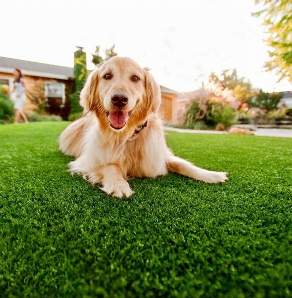  New Album of Turf Pros Solution Los Angeles 207 S Broadway, #520 - Photo 3 of 4