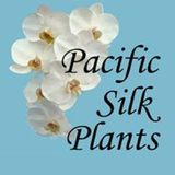 Pacific Silk Plants, San Juan Capistrano