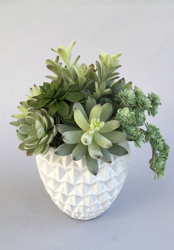  Pricelists of Pacific Silk Plants 27134A Paseo Espada Ste 304 - Photo 6 of 6