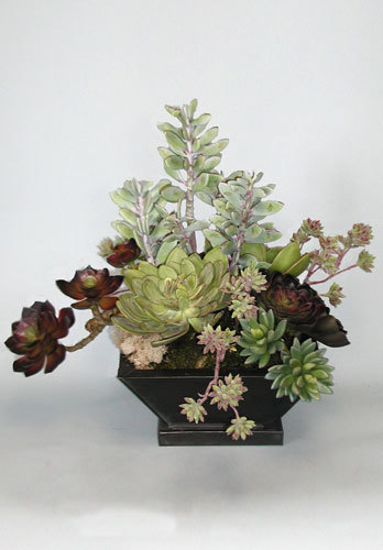  Pricelists of Pacific Silk Plants 27134A Paseo Espada Ste 304 - Photo 5 of 6