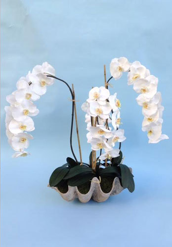  Pricelists of Pacific Silk Plants 27134A Paseo Espada Ste 304 - Photo 3 of 6