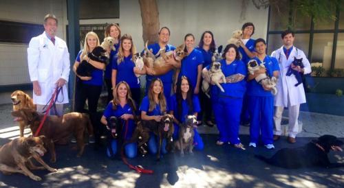  New Album of Rose Canyon Animal Hospital 4295 Jutland Dr. - Photo 2 of 2