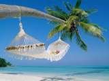 Menus & Prices, Kerala-Travel-Tours, delhi