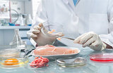 Food Safety &<br />
FSSC 22000 Services Kelmac Group Chicago 875 N. Michigan Ave.,Suite 3100 
