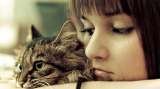 Pet Clinic in Delhi, Pet Clinic in Delhi, New Delhi