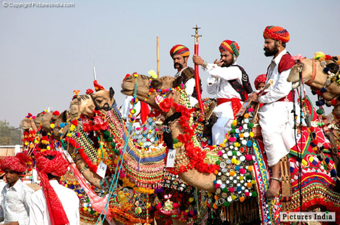  Profile Photos of Crazy India Tour Ram Nagar - Photo 8 of 10
