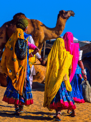  Profile Photos of Crazy India Tour Ram Nagar - Photo 6 of 10