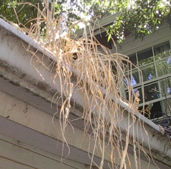 rain gutter companies kansas city New Album of Kansas City Gutter Cleaning Expert 1881 Main St #300 - Photo 5 of 11