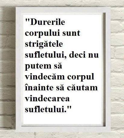  Pricelists of SANATATE, ARMONIE, VITALITATE! Splaiul Independentei 2J, et.1, ap. 6, interfon 06,sector 3, Bucuresti - Photo 2 of 3