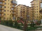 gogudany, BUCURESTI