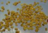 Goji Lycium Barbarum Ningxia NQ 1, Stroiesti