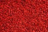 Goji Lycium Barbarum Ningxia NQ 1, Stroiesti