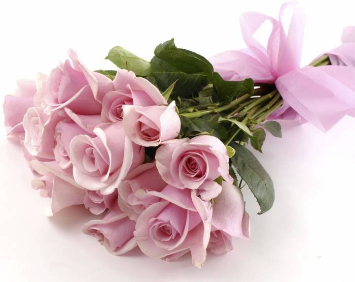  Profile Photos of India Flower Plaza Wind Tunnel Road Airport Road - Photo 3 of 8