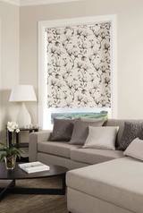  Shutterup Blinds And Shutters 6/11 Forge Cl 