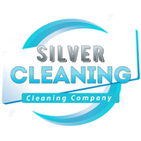 Silver Cleaning, New York