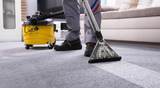 Blue Elm Carpet Cleaning Services, Nashville