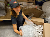 No Problem Movers, Mississauga