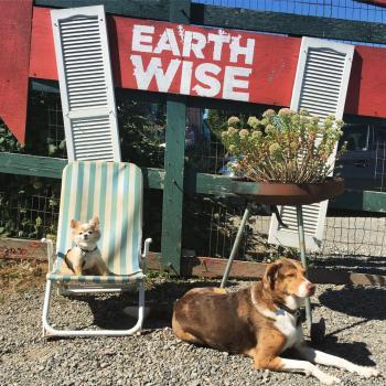  Profile Photos of Earthwise Architectural Salvage 416 North Park Street - Photo 4 of 4