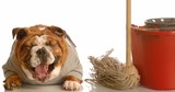 Granston Cleaning Services, Reading