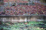Dayton Retaining Wall, Dayton