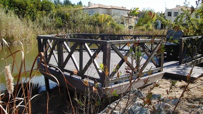                                 New Album of My Waste Products 9 Basalt Street Alrode - Photo 139 of 161
