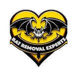 Bat Removal Experts, Palm City
