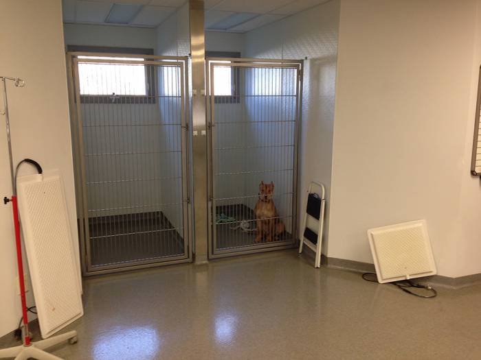  Profile Photos of Pitman Animal Hospital 654 N. Delsea Dr. - Photo 2 of 12