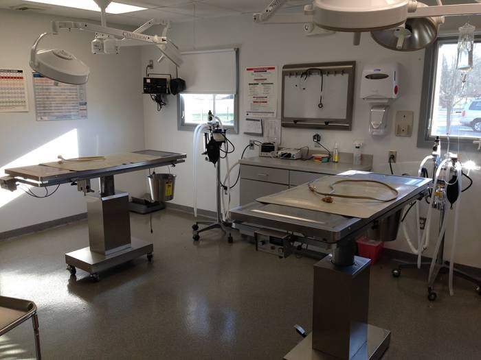  Profile Photos of Pitman Animal Hospital 654 N. Delsea Dr. - Photo 8 of 12