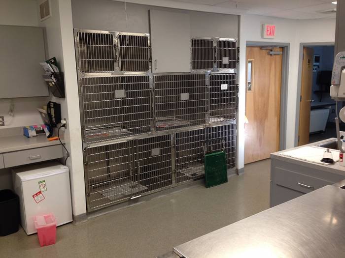  Profile Photos of Pitman Animal Hospital 654 N. Delsea Dr. - Photo 10 of 12