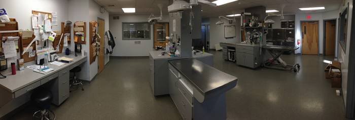  Profile Photos of Pitman Animal Hospital 654 N. Delsea Dr. - Photo 11 of 12