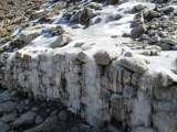 Langtang Valley Trekking - 9 Days, Kathmandu